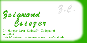 zsigmond csiszer business card